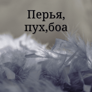 Пір'я, пух, боа (13)